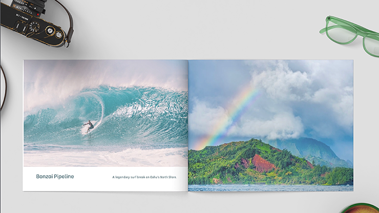 Zandman's Hawaii
