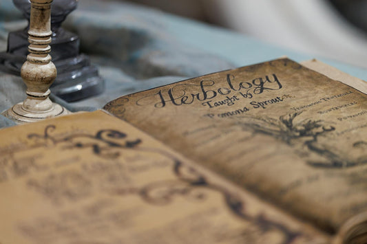 Historical Magic Texts: A Journey Through Magical Literature