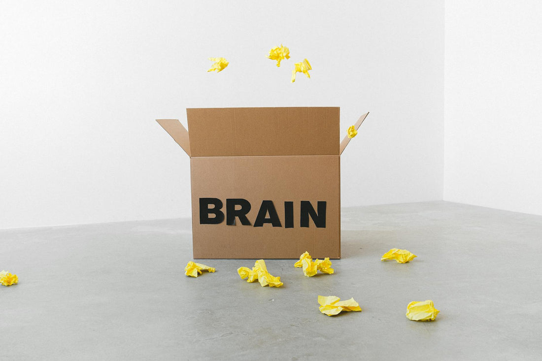 Enhance Your Magic: Memory Systems for Mentalism
