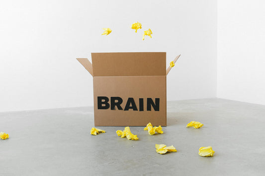 Enhance Your Magic: Memory Systems for Mentalism