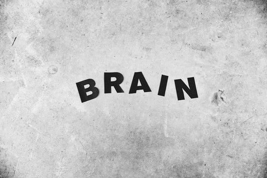 Memory Systems for Mentalists: Techniques That Wow Audiences