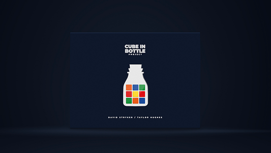 Cube in Bottle Project by Taylor Hughes and David Stryker