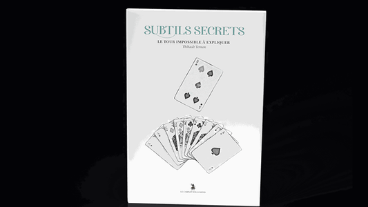 Subtle Secrets 2 by Thibault Ternon